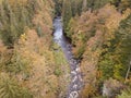 Aerial view of the autumn forest and small stream. Way along the river in the mountains covered with green and colorful forest Royalty Free Stock Photo