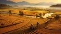 Aerial View Of Autumn Harvest In Southern China