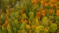 Aerial View of Autumn Landscape View of the Autumn Bright Multi-colored Trees, Green, Orange and Reddish Tint. Royalty Free Stock Photo