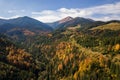 Aerial view of autumn mountain landscape with evergreen pine trees and yellow fall forest with magestic mountains in distance Royalty Free Stock Photo
