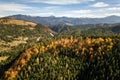 Aerial view of autumn mountain landscape with evergreen pine trees and yellow fall forest with magestic mountains in distance Royalty Free Stock Photo