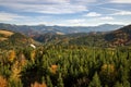 Aerial view of autumn mountain landscape with evergreen pine trees and yellow fall forest with magestic mountains in distance Royalty Free Stock Photo