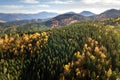 Aerial view of autumn mountain landscape with evergreen pine trees and yellow fall forest with magestic mountains in distance Royalty Free Stock Photo