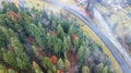 Aerial view of autumn pine forest with yellow and green trees in the mountains Royalty Free Stock Photo