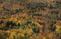 Black river national forest in Michigan upper peninsula Royalty Free Stock Photo