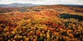 Aerial view of the autumn trees in Vermont. Fall landscape forests in red, orange, and yellow. Leaves turning.