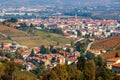 Aerial view of autumnal vineyards and town on background in Italy Royalty Free Stock Photo