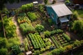 aerial view of a backyard vegetable garden with various plants Royalty Free Stock Photo