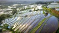 Aerial view of Bali Rice Terraces. Royalty Free Stock Photo