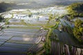 Aerial view of Bali Rice Terraces. Royalty Free Stock Photo