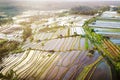 Aerial view of Bali Rice Terraces. Royalty Free Stock Photo