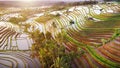 Aerial view of Bali Rice Terraces. Royalty Free Stock Photo