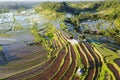 Aerial view of Bali Rice Terraces. Royalty Free Stock Photo