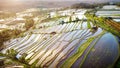 Aerial view of Bali Rice Terraces. Royalty Free Stock Photo