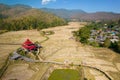 Aerial view of a bamboo bridge and a rice field