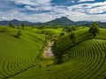 Aerial view of beatiful sunset at Long Coc tea hill, Phu Tho, Vietnam