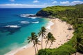 Aerial view of a beautiful beach on the island of Kauai, Hawaii, Hawaii Beach Aerial, AI Generated Royalty Free Stock Photo