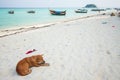 Aerial view of beautiful beach of Koh Lipe against blue sky in Satun, Thailand, Clear water and blue sky Lipe island, Thailand Royalty Free Stock Photo