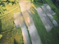 Aerial view of beautiful cultivated crop fields surrounded by dense, green forest and grass patches, lit by golden sunset sun Royalty Free Stock Photo