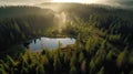 Aerial view of beautiful forest and lake in morning. Drone photography Royalty Free Stock Photo