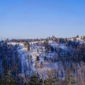 Aerial view of a beautiful forest during winter in Serbia Royalty Free Stock Photo