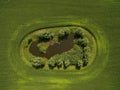 Aerial view of beautiful green agricultural fields wit a smal lake