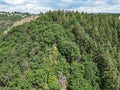 Aerial view Beautiful green forest, many trees different colors germany rhineland palantino Royalty Free Stock Photo