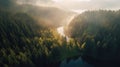 Aerial view of a beautiful lake in the autumn forest. Drone photography Royalty Free Stock Photo