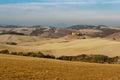 Aerial view of the beautiful landscape of Tuscany in Italy, near Montalcino, hills cultivated with wheat, yellow plowed field Royalty Free Stock Photo