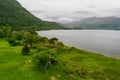 Aerial view of large pine trees on a banks of Muckross Lake, also called Middle Lake or The Torc, located in Killarney National