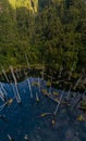 Aerial view of beautiful Los Alerces lagoon refuge