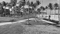 Aerial view of beautiful MIami Beach palms ad beach from drone point of view, Florida Royalty Free Stock Photo