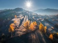 Aerial view of beautiful orange trees on the hill in fog Royalty Free Stock Photo