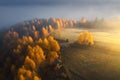 Aerial view of beautiful orange trees on the hill in mountains Royalty Free Stock Photo