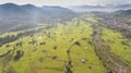 Paddy Fields Royalty Free Stock Photo