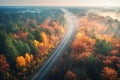 Aerial view of beautiful railroad in autumn forest in fog