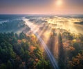 Aerial view of beautiful railroad in autumn forest in fog