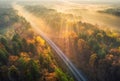 Aerial view of beautiful railroad in autumn forest in sunrise Royalty Free Stock Photo