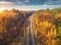 Aerial view of beautiful railroad in autumn forest at sunset