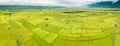 Aerial view of Beautiful Rice Fields at Chishang Township, Taitung County, Taiwan in autumn