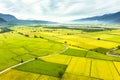 Aerial view of Beautiful Rice Fields in taitung . Taiwan