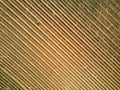 aerial view of beautiful rows of vineyard Royalty Free Stock Photo