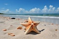 Aerial view of beautiful seashell on sun-kissed sandy beach on a serene, tranquil day