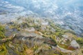 Aerial view of beautiful terraced fields in spring Royalty Free Stock Photo