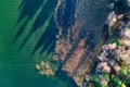 Aerial view of a bed of reeds and sea side in Finland Royalty Free Stock Photo