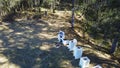 Aerial view of a beekeeper tending hives at cessnock