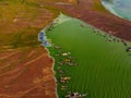 Aerial view of Ben Nom fishing village, a brilliant, fresh, green image of the green algae season on Tri An lake, with many Royalty Free Stock Photo