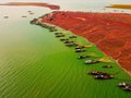 Aerial view of Ben Nom fishing village, a brilliant, fresh, green image of the green algae season on Tri An lake, with many Royalty Free Stock Photo