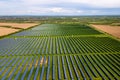 Aerial view of big sustainable electric power plant with many rows of solar photovoltaic panels for producing clean