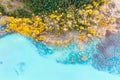 Aerial view. Birch forest in turquoise water. Abraham Lake. Natural scenery in fall time. Mountain lake and trees. Banff National Royalty Free Stock Photo